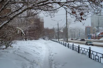 zapada ninsoare frig București